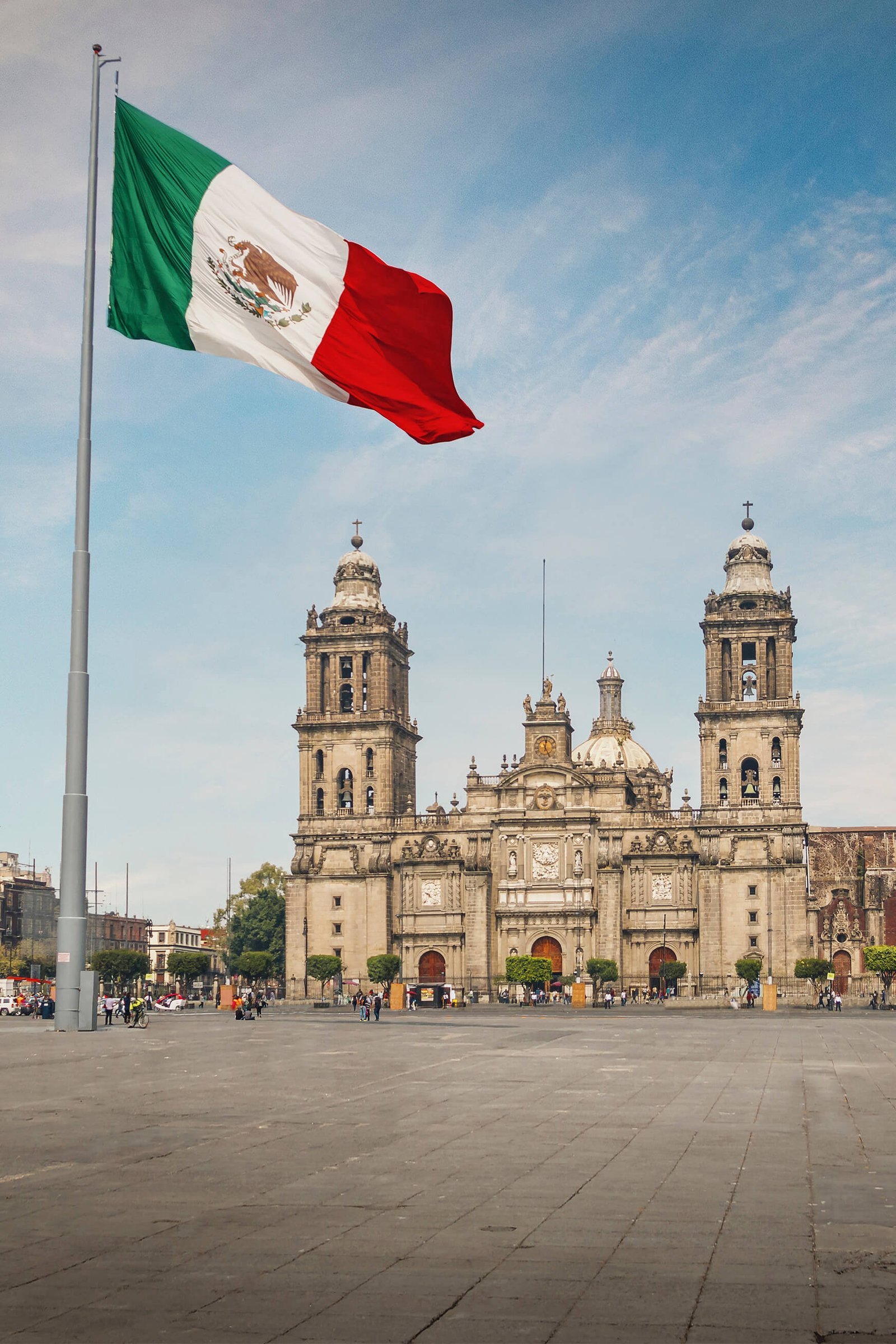 Elinor en México